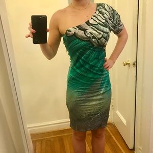 Roberto Cavalli One Shoulder Silk Dress